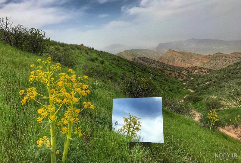 ترفندهای عکاسی از طبیعت برای مبتدیان + 15 قدم تا حرفه ای شدن ترفندهای عکاسی از طبیعت برای مبتدیان + 15 قدم تا حرفه ای شدن