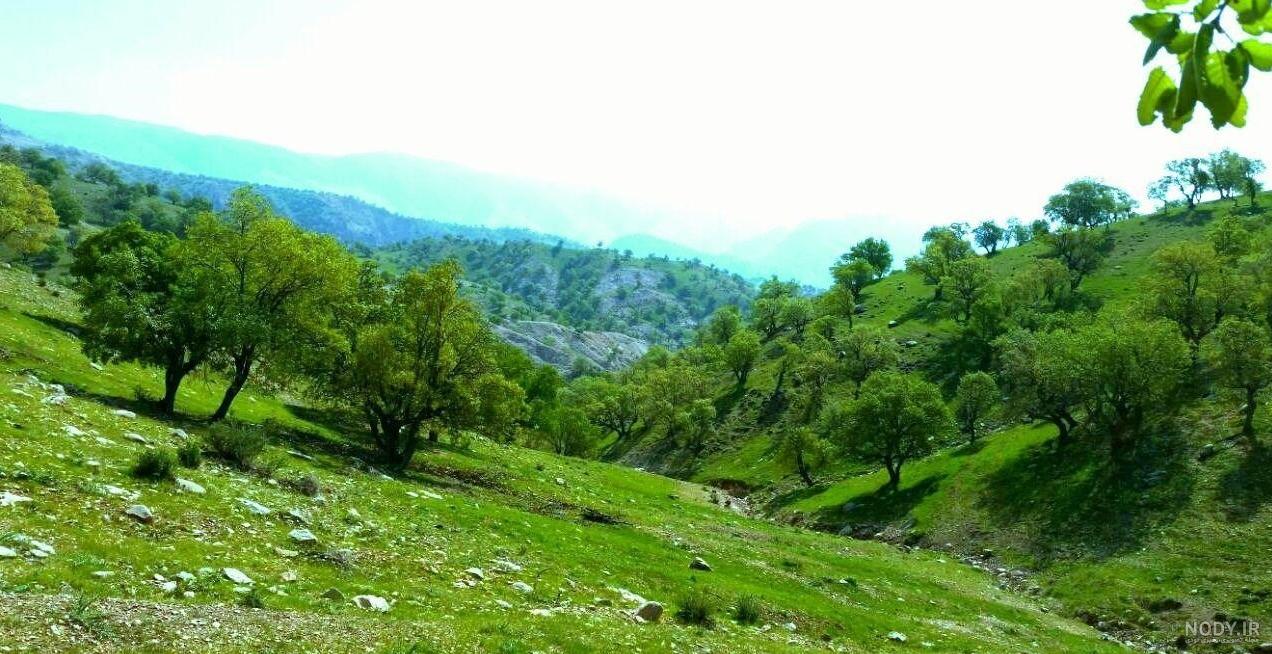 تصاویری از طبیعت بهاری هورامان - تابناک | TABNAK