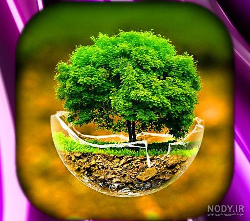 دانلود برنامه تصویر زمینه طبیعت زیبا برای اندروید | مایکت