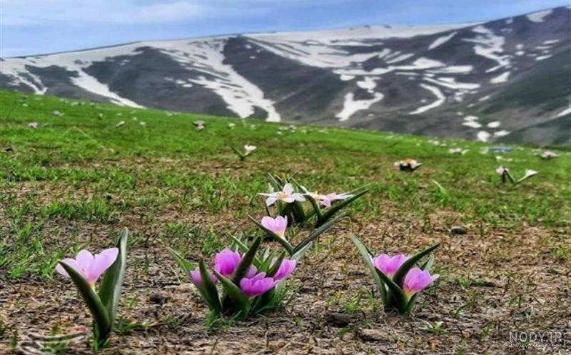 دیدنی های کوه سبلان و دریاچه های آن + جاذبه های گردشگری دیدنی های کوه سبلان و دریاچه های آن + جاذبه های گردشگری