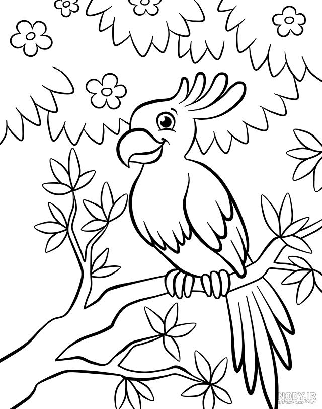 رنگ آمیزی طوطی روی شاخه - پنجره ای به دنیای کودکان رنگ آمیزی طوطی روی شاخه - پنجره ای به دنیای کودکان
