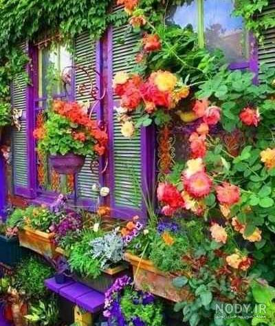 زیباترین عکس های طبیعت جهان