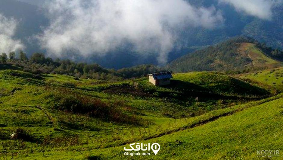طبیعت برفی مسیر سیاهکل به دیلمان- عکس مستند تسنیم | Tasnim طبیعت برفی مسیر سیاهکل به دیلمان- عکس مستند تسنیم | Tasnim