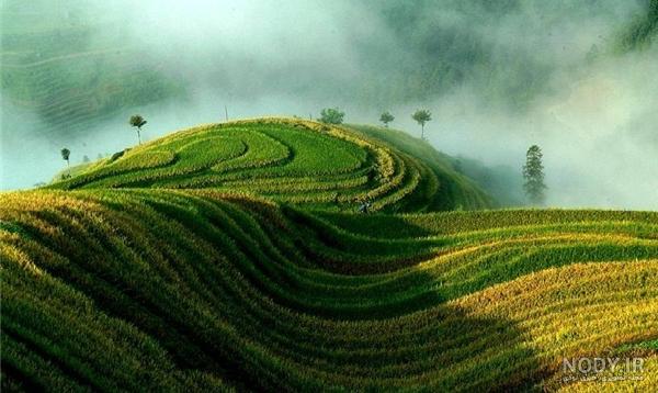 طبیعت زیبای چین تصاویر
