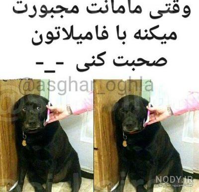 طنز تصویری - تستچی طنز تصویری - تستچی