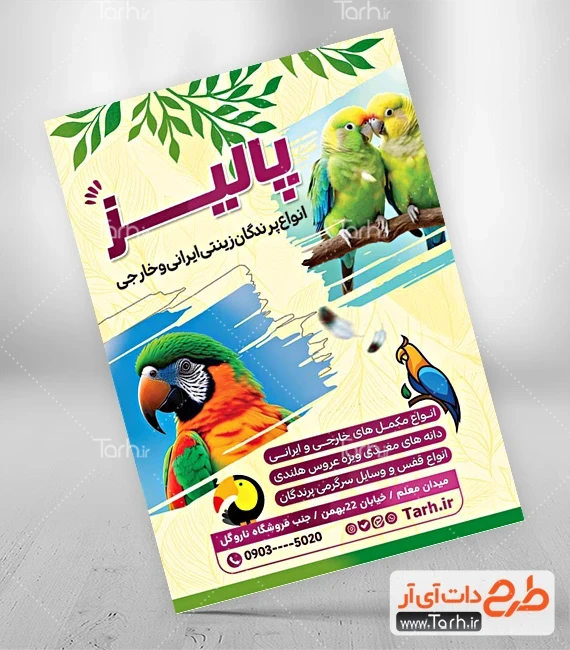 عکس حیوانات طوطی - عکس نودی عکس حیوانات طوطی - عکس نودی