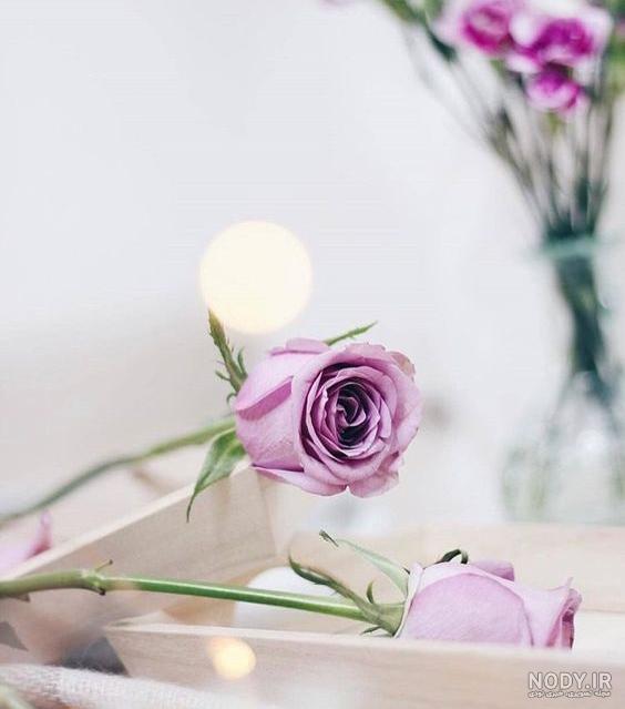 عکس زیبا برای پروفایل روبیکا گل
