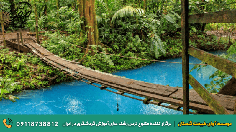عکس های زیبا و رویایی از طبیعت بکر و شگفت انگیز سراسر جهان