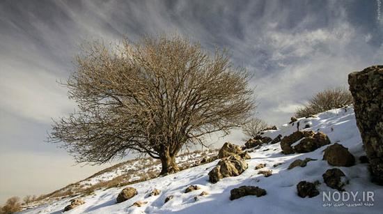 عکس طبیعت زمستانی