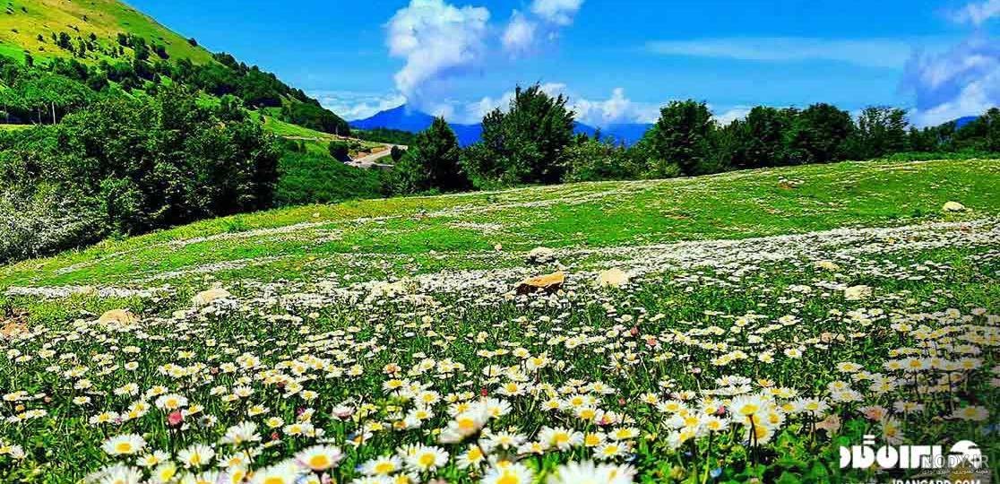 عکس طبیعت سیاهکل