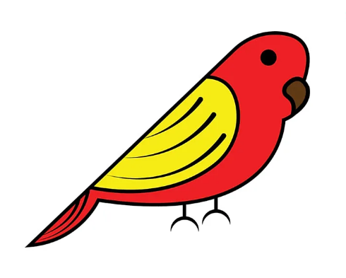 عکس طوطی نقاشی