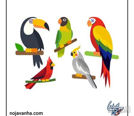 عکس طوطی نقاشی کودکانه - عکس نودی عکس طوطی نقاشی کودکانه - عکس نودی