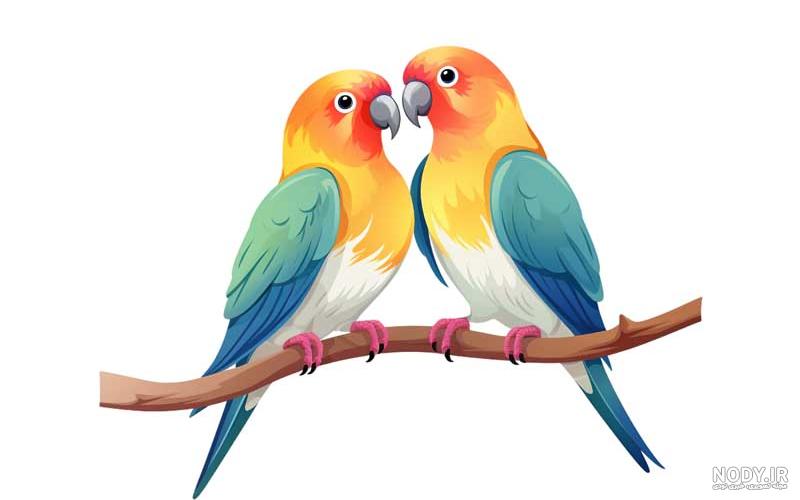 عکس طوطی نقاشی کودکانه - عکس نودی عکس طوطی نقاشی کودکانه - عکس نودی