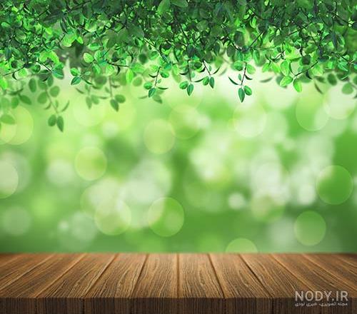 عکسهای طبیعت زیبا و بکر با کیفیت بسیار بالا عکسهای طبیعت زیبا و بکر با کیفیت بسیار بالا