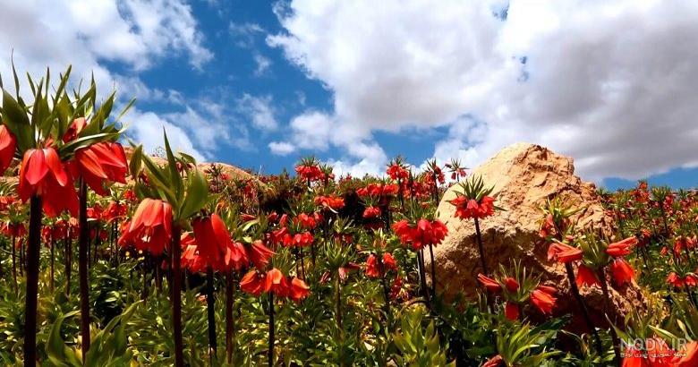 مشرق نیوز - عکس/ روستایی شگفت‌انگیز در کوهرنگ