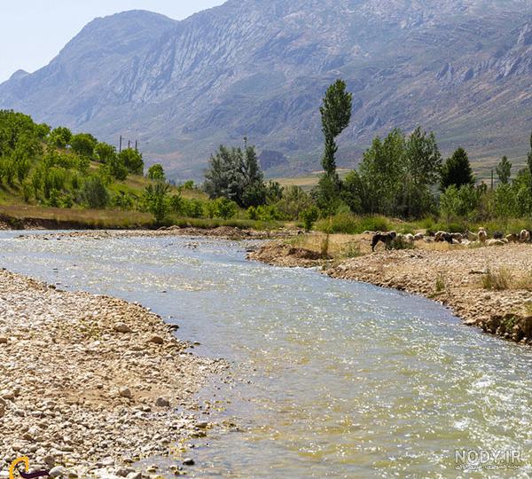 مشرق نیوز - عکس/ طبیعت برفی کوهرنگ در اولین هفته زمستان مشرق نیوز - عکس/ طبیعت برفی کوهرنگ در اولین هفته زمستان