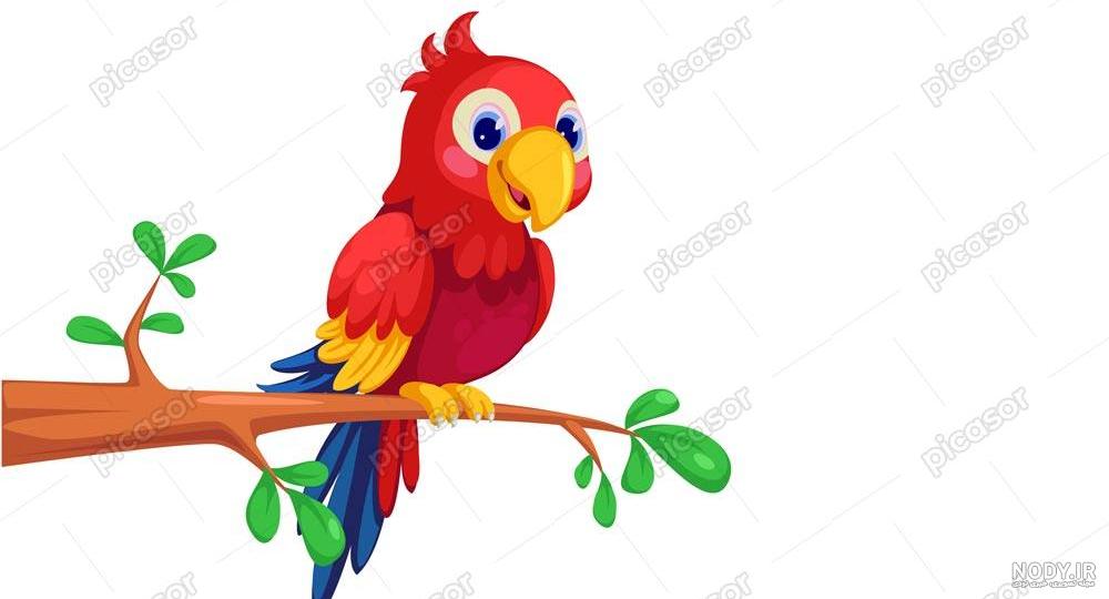 نقاشی طوطی سبز - Kids TV نقاشی طوطی سبز - Kids TV