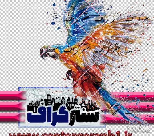 نقاشی پرنده با مداد رنگی نقاشی پرنده با مداد رنگی