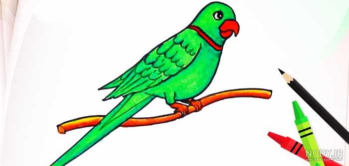 نقاشی پرنده کودکانه ساده با آموزش ویدئویی