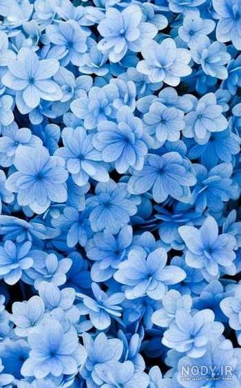 پس زمینه آبی برای علاقه مندان به این رنگ آرامش بخش