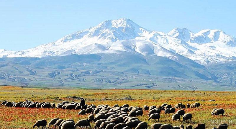 کوه سبلان | معرفی سومین قله ایران + عکس و ارتفاع | لحظه آخر کوه سبلان | معرفی سومین قله ایران + عکس و ارتفاع | لحظه آخر