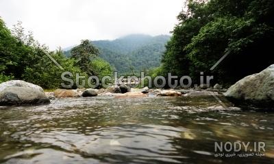 گشتی در جنگل‌های سیاهکل