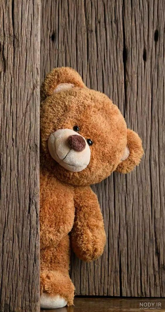 قیمت خرس عروسکی 1 متری دیجی کالا