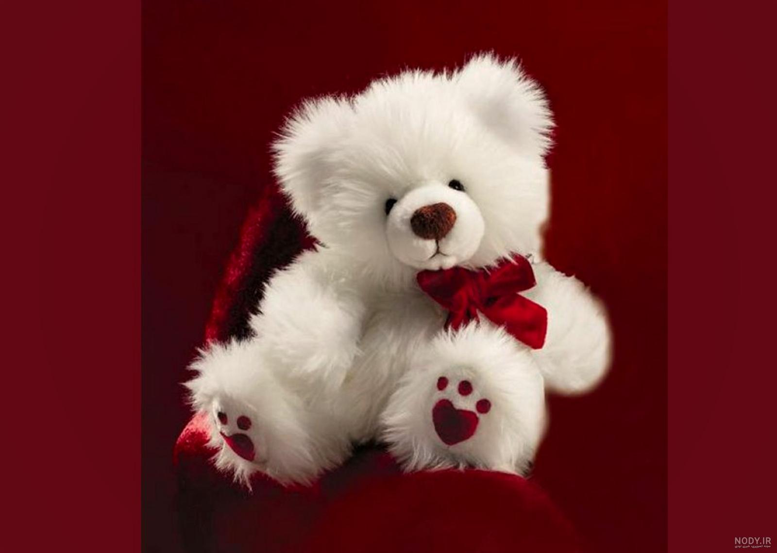 عکس خفن عکس خرس عروسکی بزرگ