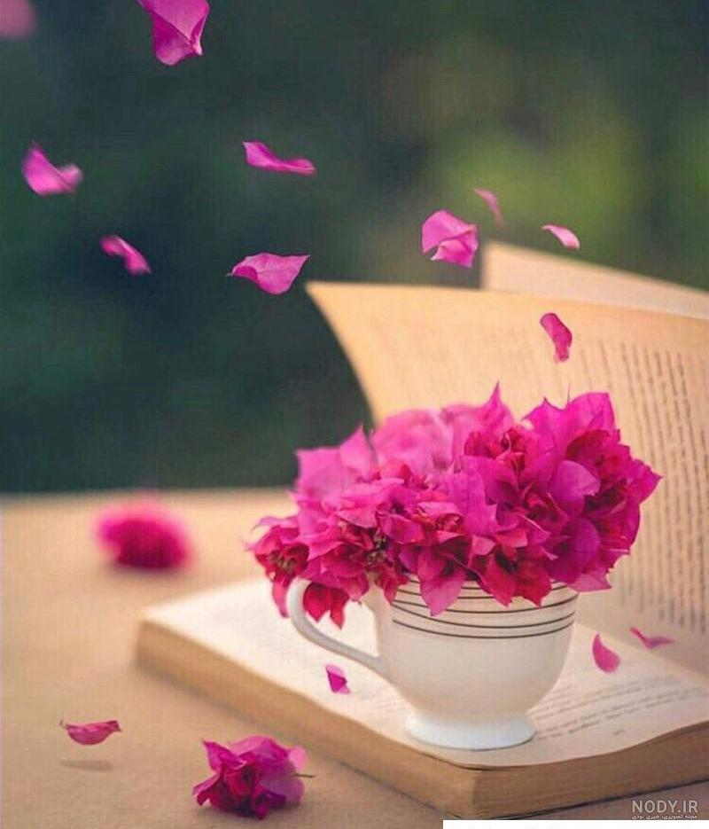 عکس مفهومی بدون متن سنگین