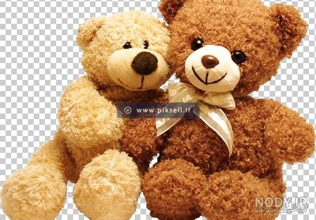 عکس خفن عکس خرس عروسکی بزرگ