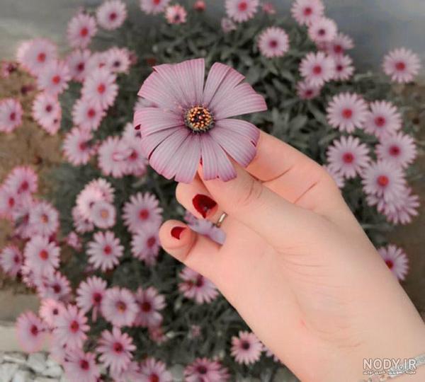 عکس مفهومی بدون متن سنگین