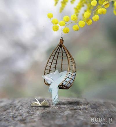 عکس خفن عکس بدون متن در مورد زندگی