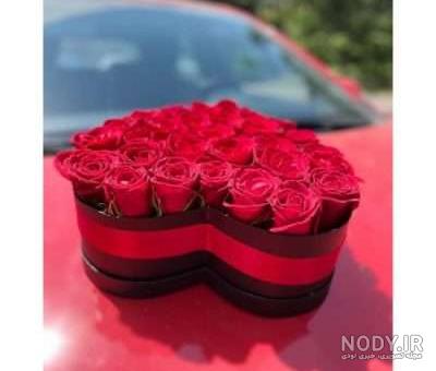 85 عکس گل رز با رنگ های زیبا و خاص 85 عکس گل رز با رنگ های زیبا و خاص