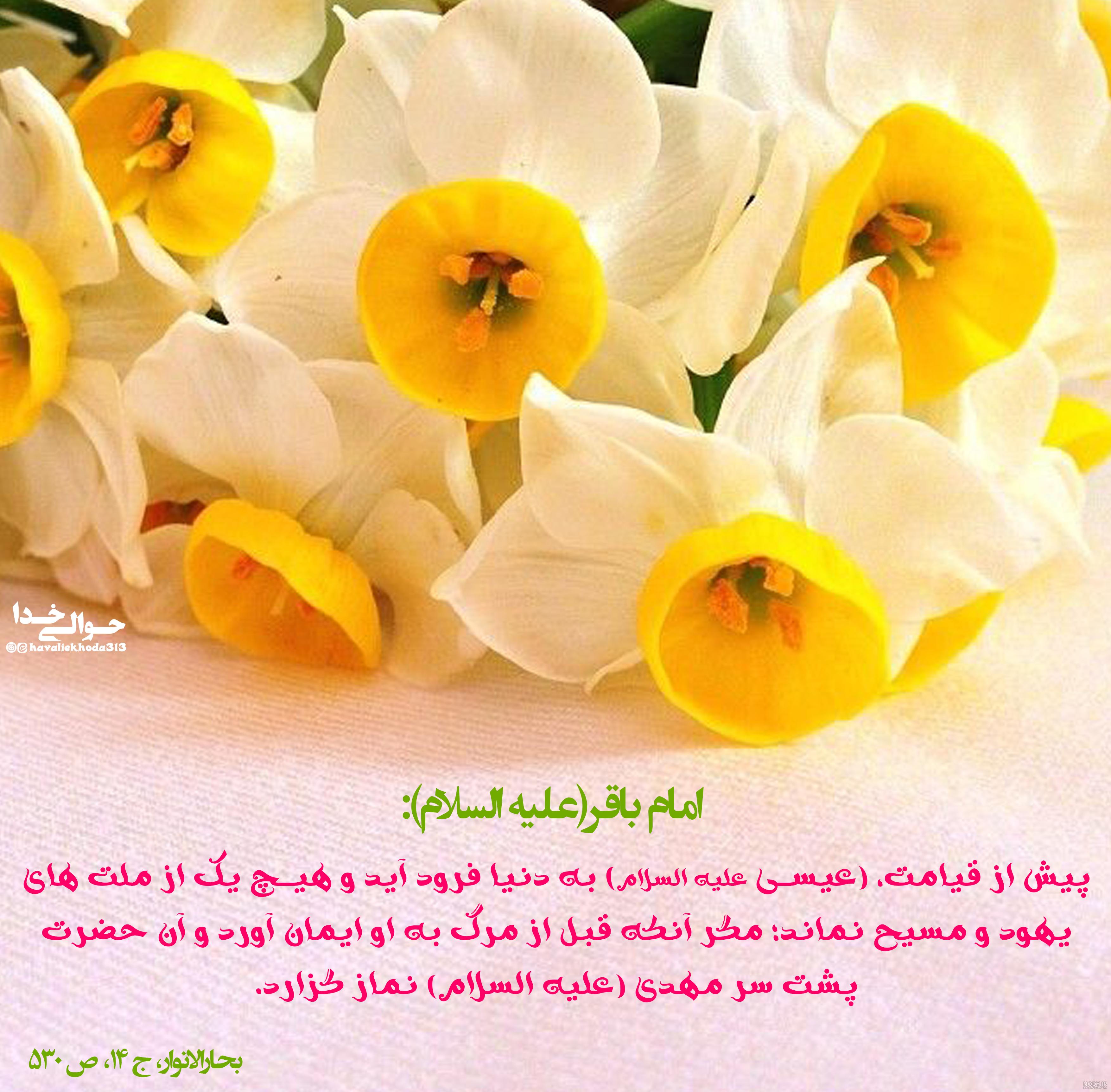دانلود تصویر حضرت عیسی مسیح بدون بکگراند | بُرچین – تصاویر دوربری شده، فایل های آماده، عکس png رایگان، دانلود psd رایگان دانلود تصویر حضرت عیسی مسیح بدون بکگراند | بُرچین – تصاویر دوربری شده، فایل های آماده، عکس png رایگان، دانلود psd رایگان