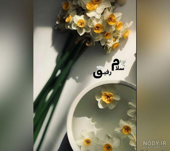 دانلود عکس صبح بخیر زیبا | سلام صبح بخیر جدید | سلام صبح بخیر جدید جمعه | عکس و متن سلام صبح بخیر جدید دانلود عکس صبح بخیر زیبا | سلام صبح بخیر جدید | سلام صبح بخیر جدید جمعه | عکس و متن سلام صبح بخیر جدید
