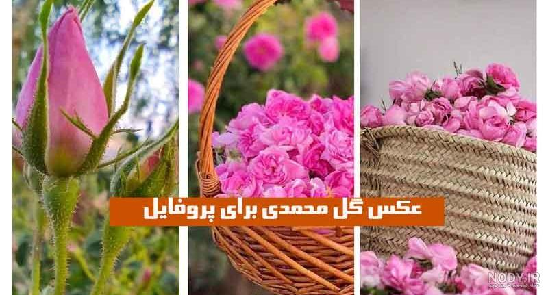 دختر مد هنری با پوست سفید و رنگ صورتی روی صورت زیبایی هنر خلاق تصویر گرفته شده در استودیو با پس زمینه سیاه 1481826 دختر مد هنری با پوست سفید و رنگ صورتی روی صورت زیبایی هنر خلاق تصویر گرفته شده در استودیو با پس زمینه سیاه 1481826