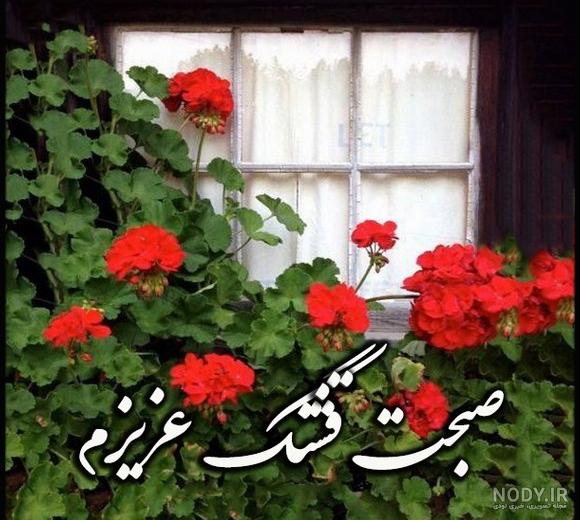 زیبا عکس سلام صبح بخیر جدید زیبا عکس سلام صبح بخیر جدید