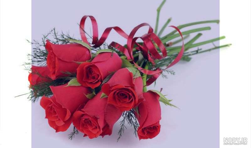 زیباترین گل های رز جهان زیباترین گل های رز جهان