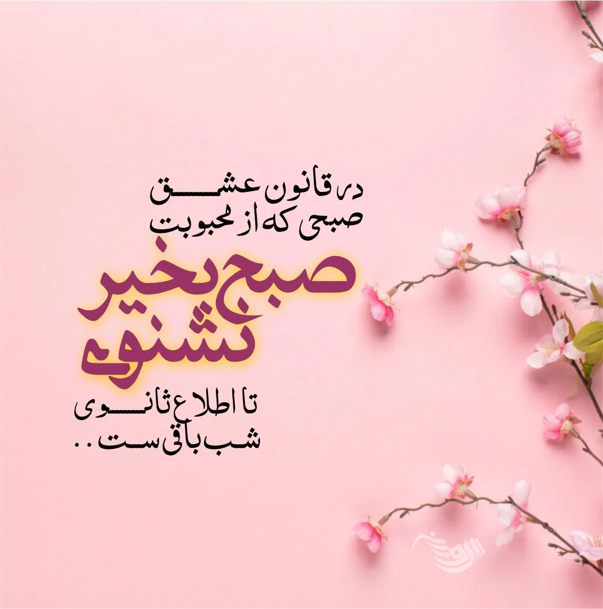 سلام صبح بخیر عاشقانه❤️+ متن صبح بخیر زیبا برای عشقم • مجله تصویر زندگی