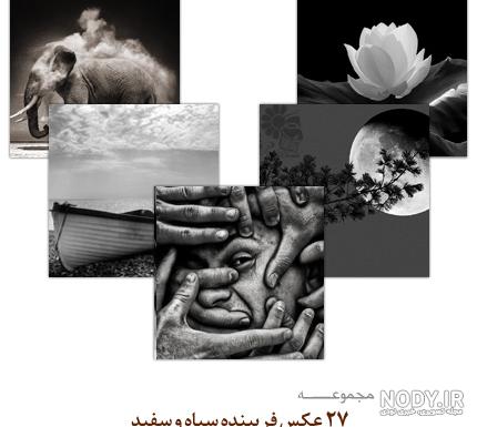 عکس با کیفیت پرتره سیاه و سفید زن زیبا با یک ژست در پس زمینه تیره – عکس با  کیفیت و تصاویر استوک حرفه ای