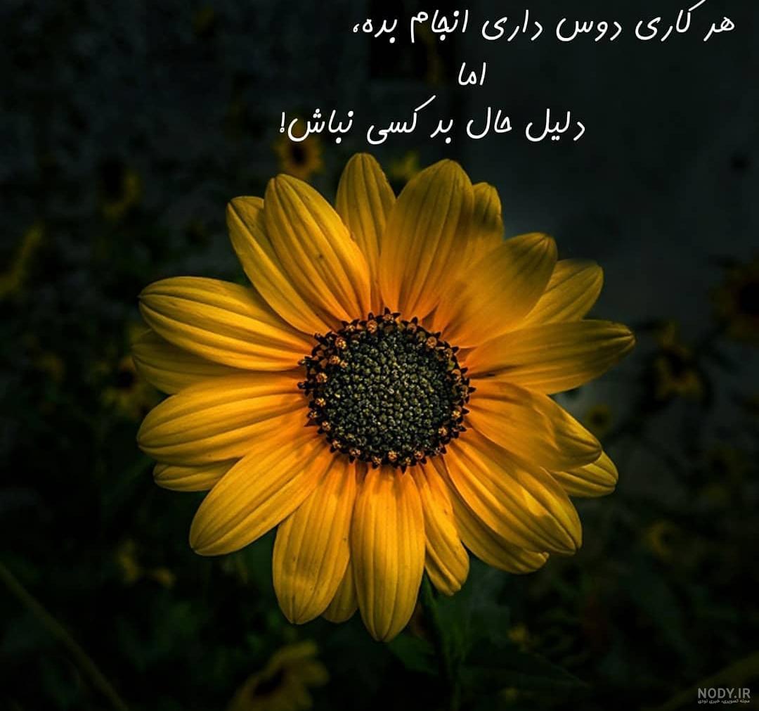 عکس زیبا و شاد عکس زیبا و شاد