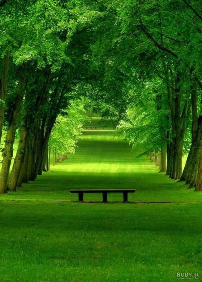 عکس های زیبا پس زمینه ❤️ [ بهترین تصاویر ]