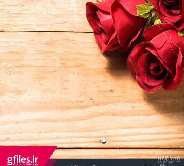 عکس زیبا گل رز قرمز