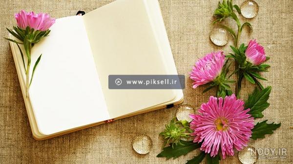 عکس سفید و صورتی - عکس نودی عکس سفید و صورتی - عکس نودی