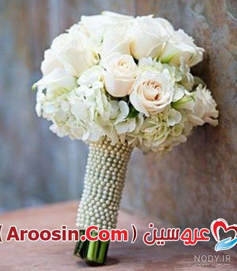 عکس شاخه گل رز سفید