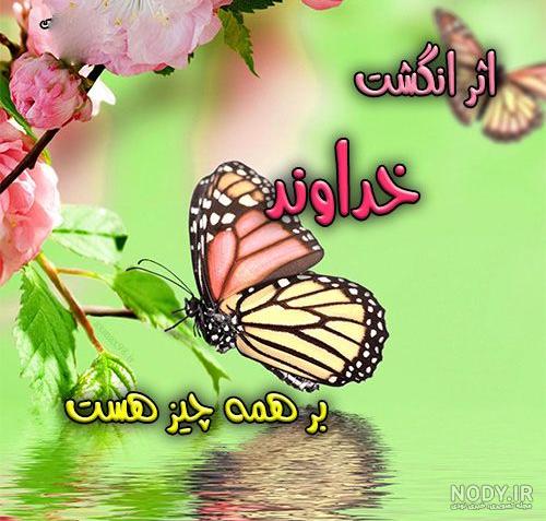 عکس شاد طبیعت - عکس نودی عکس شاد طبیعت - عکس نودی