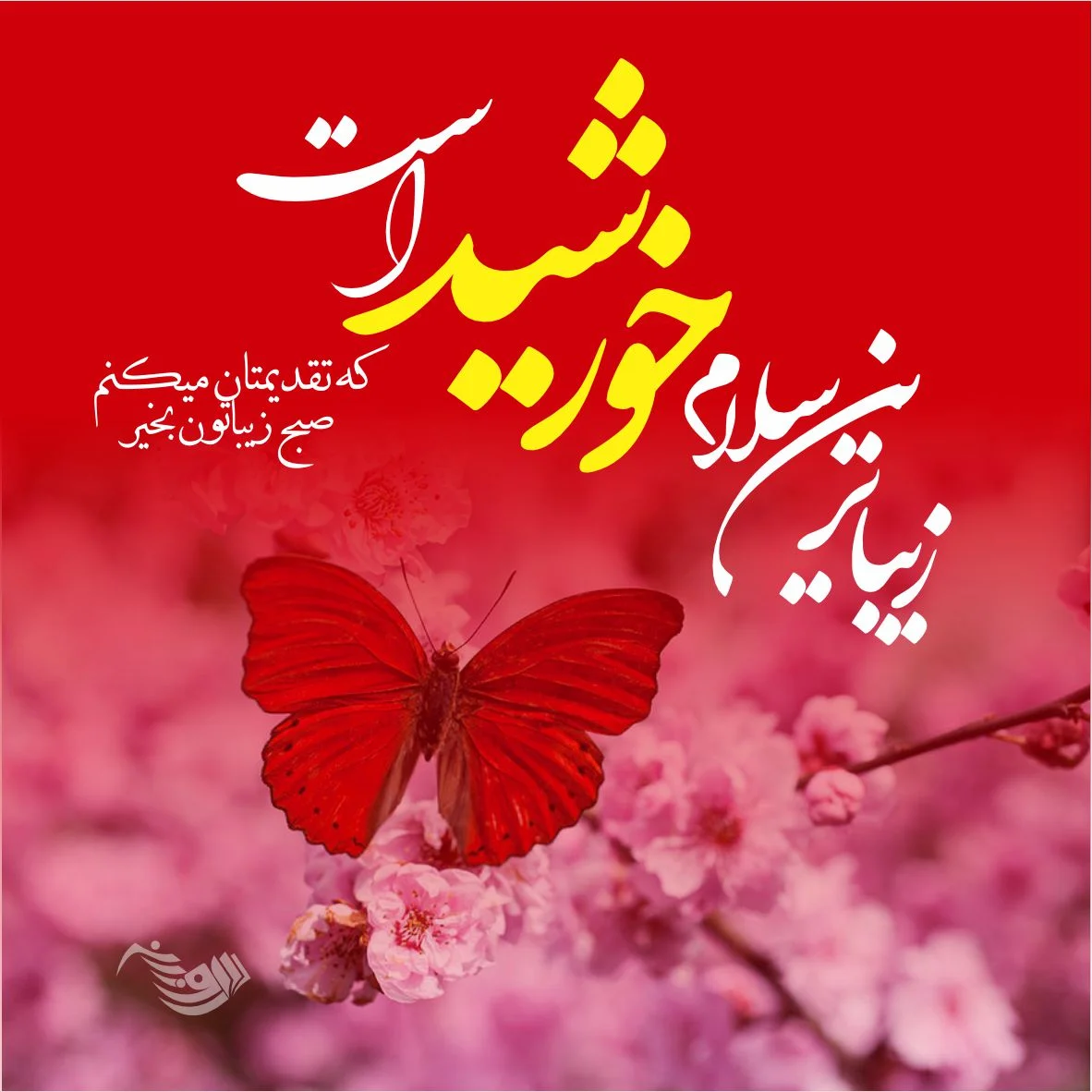 عکس صبح بخیر زیبا 2023; برای استوری زیبا و مثبت - گلین بانو عکس صبح بخیر زیبا 2023; برای استوری زیبا و مثبت - گلین بانو