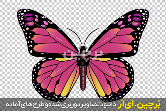 عکس طبیعت صورتی - عکس نودی عکس طبیعت صورتی - عکس نودی