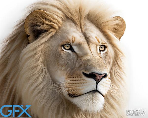 عکس پروفایل شیر و تاج