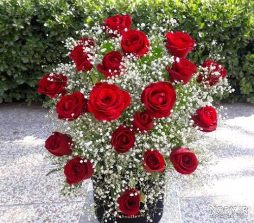 عکس گل رز برای پروفایل تلگرام و اینستاگرام • مجله تصویر زندگی عکس گل رز برای پروفایل تلگرام و اینستاگرام • مجله تصویر زندگی
